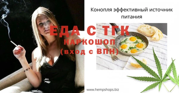 дживик Володарск