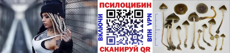 Галлюциногенные грибы мицелий  Певек 